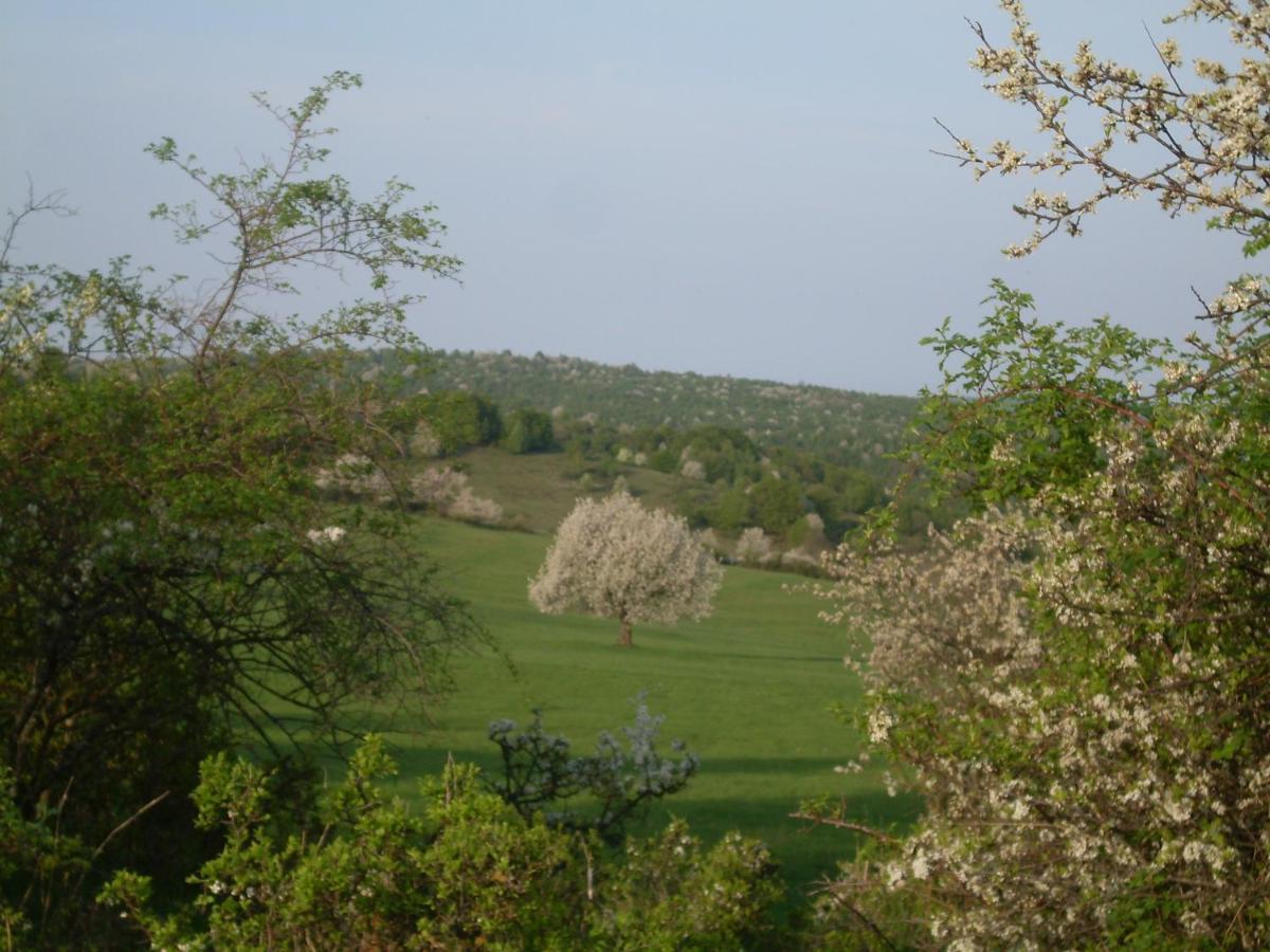 Ubytovanie Na Vcelej Farme Polichno Extérieur photo